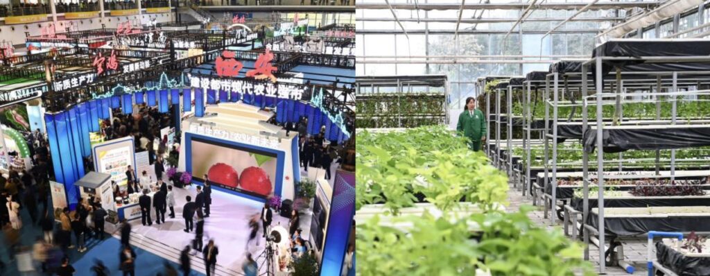 0201143 Yangling จีนเตรียมจัดงานมหกรรมเทคโนโลยีการเกษตรไฮเทคเขตหยางหลิง มุ่งส่งเสริมความร่วมมือด้านการเกษตรและเทคโนโลยี