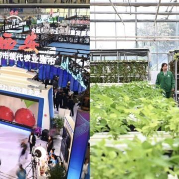 0201143 Yangling จีนเตรียมจัดงานมหกรรมเทคโนโลยีการเกษตรไฮเทคเขตหยางหลิง มุ่งส่งเสริมความร่วมมือด้านการเกษตรและเทคโนโลยี