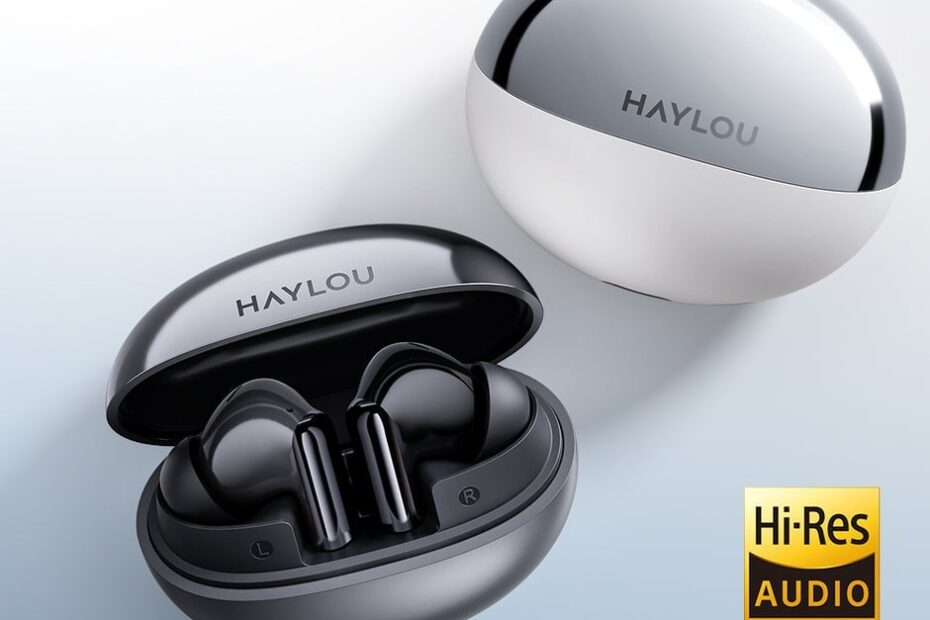 HAYLOU Flowbuds N55
