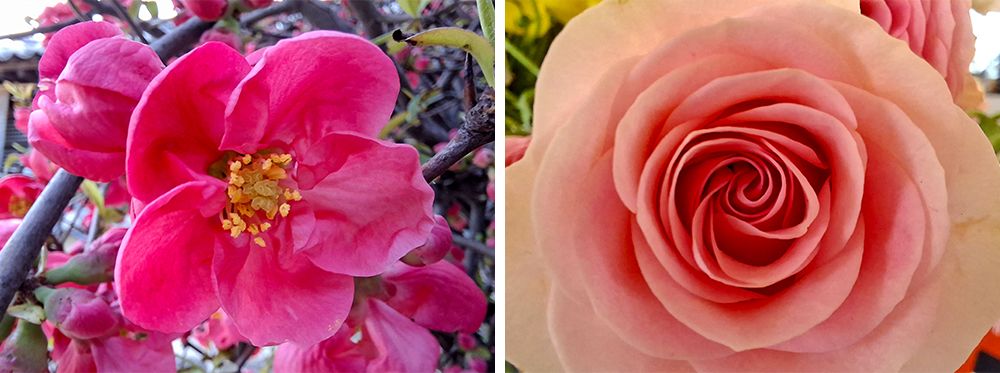 MAY PR 2026 04 21 172048 4 ส่องไฮไลต์ฟีเจอร์เด็ด Galaxy A57 5G และ Galaxy A37 5G ชูโรง AI อัจฉริยะใช้ง่าย พร้อมกล้องจัดเต็ม สวยเป๊ะ คมชัด ในทุกช็อต